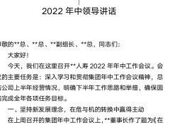 2022年年中工作会议领导讲话35页.docx