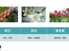 2022花艺会友插花增员活动流程太平版38页.pptx