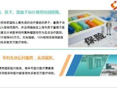 新华人寿康健华尊6大优势10大亮点12类费用报销9页.pptx