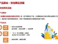 泰康附加附加惠赢添福险产品基础销售流程22页.pptx