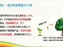 华泰金宝保省心之选组合优势产品形态案例演示29页.pptx