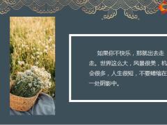 每日鸡汤励志人生车很慢阳光很暖你很好看.zip