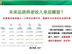 太平再拾岁悦添富之进阶逻辑专业讲解工具四大保障规划介绍案例28页.pptx