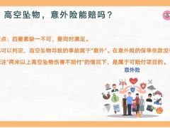 早会专题高空坠物遭遇意外险该如何理赔23页.pptx