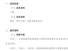 太保家安芯医疗保险H2022A条款承保规则.zip