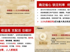 富德生命传世金尊之百万产品模型35页.pptx