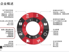 利用人身保险实现资产隔离企业概述风险盘点隔离与保单34页.pptx