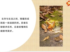 每日鸡汤励志人生要在不愉快的日子里搜刮生活藏起来的温柔.zip