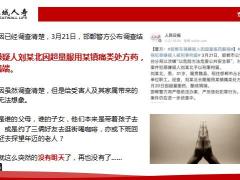 长城人寿公司介绍理赔体系案例回顾专题分享20页.pptx