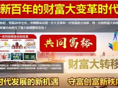 疫情下税制调整再分配如何实现共同富裕40页.pptx