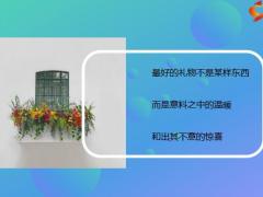 每日鸡汤励志人生日子常新未来不远岁月静好且自从容.zip