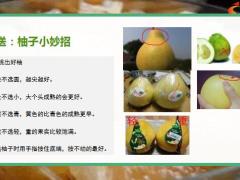 每日健康柚子浑身都是宝降糖降脂止头痛13页.pptx