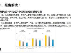 新中产财富配置的现状困境挑战报告解读49页.pptx