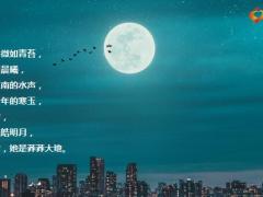 气球快乐庆生会早会流程模板14页.ppt