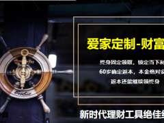 泰康人寿爱家定制财富版计划功能规划亮点21页.pptx