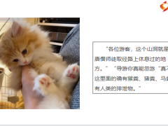每日快乐早会22年5月30日使用12页.pptx