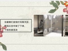 每日快乐早会22年5月31日使用11页.pptx