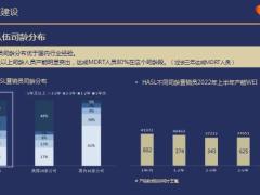 个险业务达成队伍建设客户经营工作规划上半年总结下半年规划33页.pptx