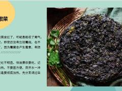每日健康这6种菜少买很多有问题9页.pptx