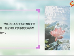 每日鸡汤励志人生若无烦事在心头便是人间好时节.zip