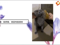 每日快乐早会22年6月2日使用11页.pptx