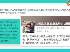 14年后郑欣宜正式继承母亲沈殿霞遗产6000万22页.pptx
