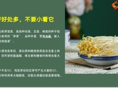 每日健康豆芽是菜中人参七成人以为这菜没营养但它能养气补血12页.pptx