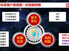 华贵大麦兜来保2022定期寿险产品开发背景保全服务及特别提示32页.pptx