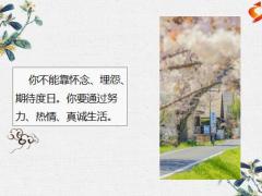 每日鸡汤励志人生但愿日子清净抬眼皆是温柔.zip