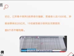 江苏1500名老人被骗20亿案例分析怎样守住自己养老金21页.pptx