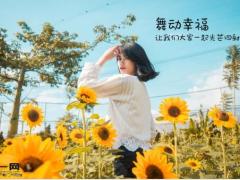 向日葵夏天早会流程模板10页.ppt