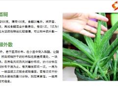每日健康一片叶子捣成糊膝关节滑膜炎疼痛积液一扫而尽8页.pptx