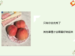 每日鸡汤励志人生愿岁月善待你我努力皆有结果.zip
