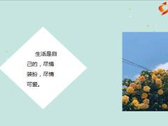 每日鸡汤励志人生做事果敢且有温度为人柔软而有原则.zip 