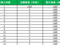 华夏菩提树少儿重大疾病保险自动计划书.xlsx 