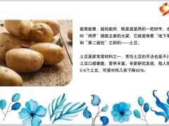 每日健康土豆尽量少吃最好不吃医生讲出5要素12页.pptx