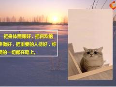 每日鸡汤励志人生不排斥温暖不迎合热闹从容自处安静守心.zip 