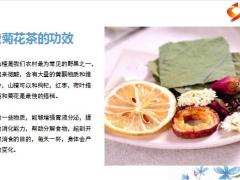 每日健康菊花和此物一起泡每天一杯血管干净双眼明亮5页.pptx 