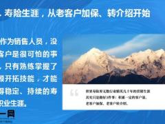 用客户满意度调查表实现老客户加保19页.pptx 