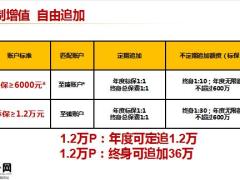 泰康人寿惠赢起步版经典版计划版三案例19页.pptx