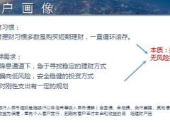 收益率风险损失框架下的销售逻辑准客户画像策略含备注26页.pptx