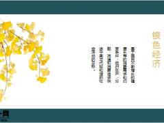 银色经济下养老需求保障制度规划方案设计42页.pptx