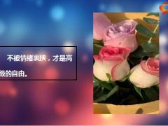 每日鸡汤励志人生希望你永远温柔阳光有底线.zip
