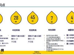 利宝臻爱e生个人重疾险产品开发背景介绍理赔服务流程案例分享推广方向21页.pptx