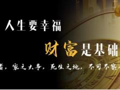 理财产说会主讲太平岁悦添富终身寿按日版37页.pptx