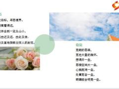 每日正能量人生路上5句话14页.pptx