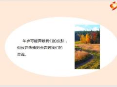 每日鸡汤励志人生不去抱怨尽量担待不怕孤单努力沉淀.zip