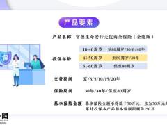 富德生命安行无忧两全保险全能版产品定位要素责任优势14页.pptx