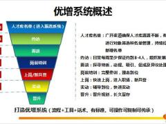 保险团队优增概述对象面谈活动含备注64页.pptx