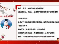 客户精准营销面谈逻辑剖析客户找准需求理念讲解强化认知适时促成异议处理22页.pptx